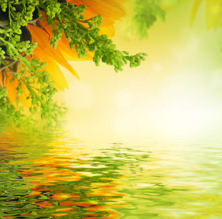 Autumn flowers, bouquet from gerber and sunflowersの写真素材