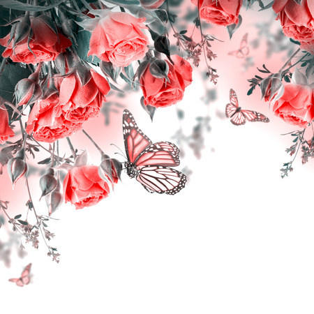 Bouquet of delicate roses and butterfly, floral backgroundの写真素材