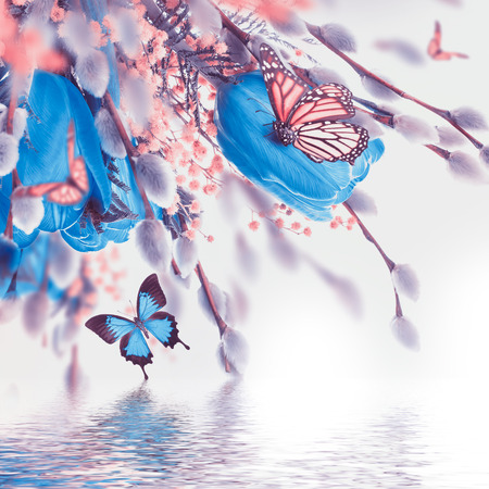 Blue tulips with mimosa and butterfly, spring background
