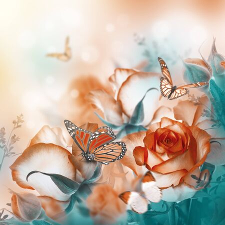 Bouquet of fresh roses, flower bright background and butterfly.の写真素材