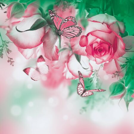 Bouquet of fresh roses, flower bright background and butterfly.の写真素材