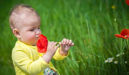 A small child playing in the field with red poppies . The baby .の写真素材