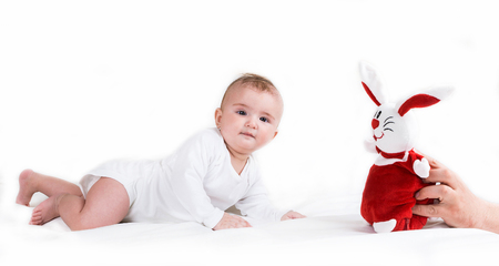 A small child playing successfully caught the rabbitの写真素材