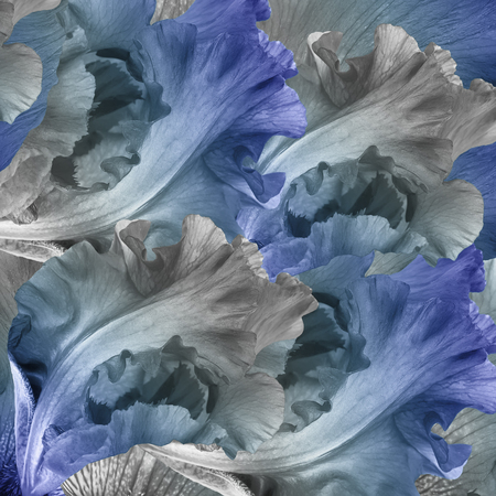 Amazing butterfly fairy of flowers, hydrangeas and iris.の写真素材