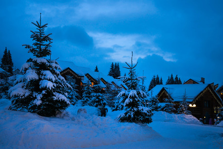 Christmas winter landscape, old wooden house, surrounded by snow-capped fir treesの写真素材