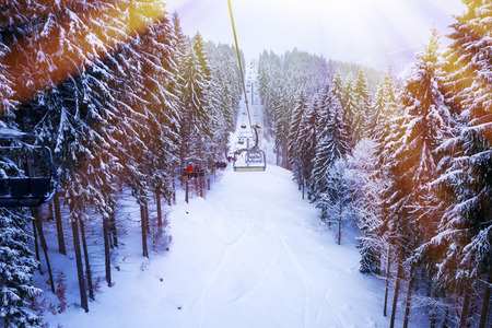 Christmas winter landscape, spruce and pine trees covered in snow on a mountain roadの写真素材