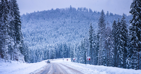 Christmas winter landscape, spruce and pine trees covered in snow on a mountain roadの写真素材