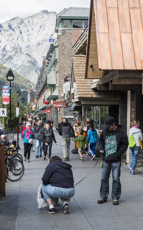 Banff, Alberta/Canada â August 31, 2015: A woman kneels to pet a dog on Banff Avenue in Banff, Alberta.のeditorial素材