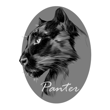The head is black Panther's profile looking into the distance, graphics sketch vector black and white pattern on the grey circle.のイラスト素材