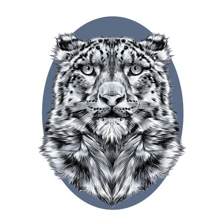 the head of the snow leopard, full face, symmetry, black and white drawing, sketch, vector, graphics, on a background of blue circle ovalのイラスト素材