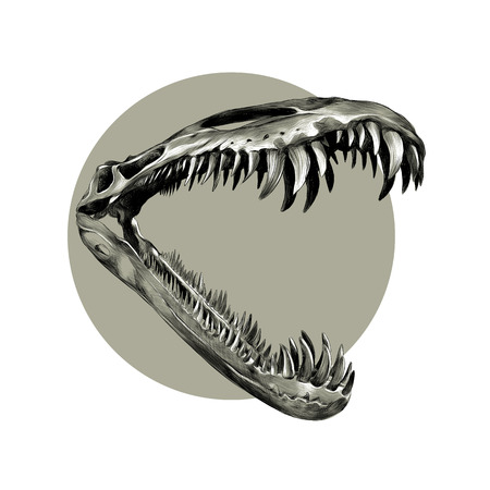 the skull of a dinosaur with big teeth close up, sketch vector graphics black and white pattern on a brown background grey circleのイラスト素材