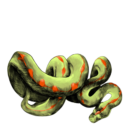the snake twisted thick sketch vector graphics color pictureのイラスト素材