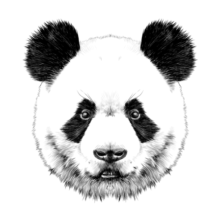 Panda head is symmetrical looks right, sketch vector graphics black and white drawingのイラスト素材