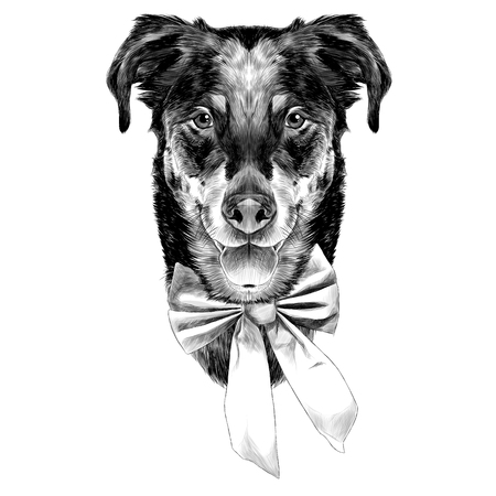 French shepherd dog head sketchのイラスト素材