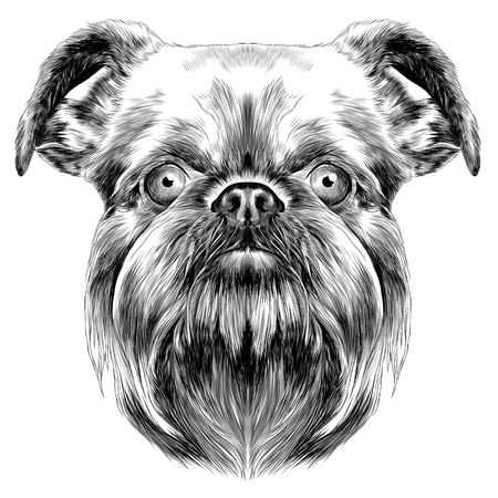 dog breed Brussels Griffon vector graphics monochrome sketchのイラスト素材
