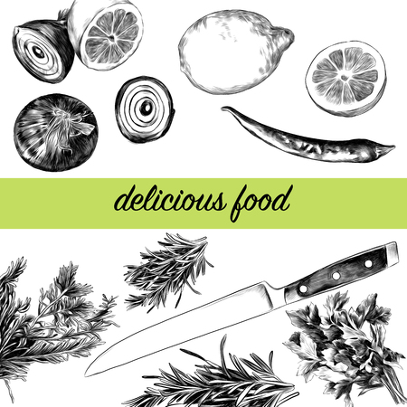 Lemon pepper parsley onion knife, green sketch. Vector graphics monochrome, black-and-white drawing.のイラスト素材