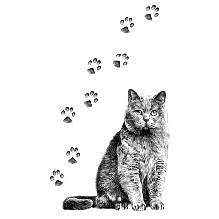 cat with paws sketch vector graphics monochrome black-and-white drawingのイラスト素材