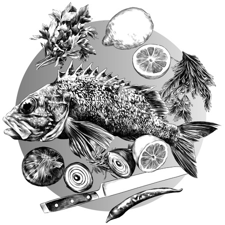 grouper lemon pepper parsley onion knife green sketch vector graphics monochrome black-and-white drawingのイラスト素材