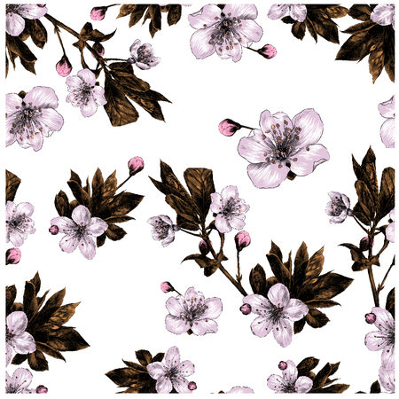 branches of Apple flowers seamless pattern colored drawingのイラスト素材