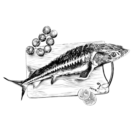 tomatoes lemon garlic seasoning cutting Board fish sturgeon sketch vector graphics monochrome black-and-white drawingのイラスト素材