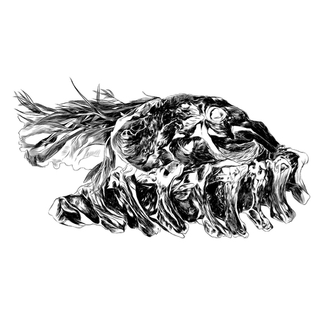 Meat sketch, vector graphics. Monochrome, black and white drawing.のイラスト素材