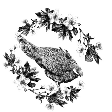 Poultry girl into the framework of the apple flowers of access. Vector graphics monochrome, black-and-white drawing.のイラスト素材