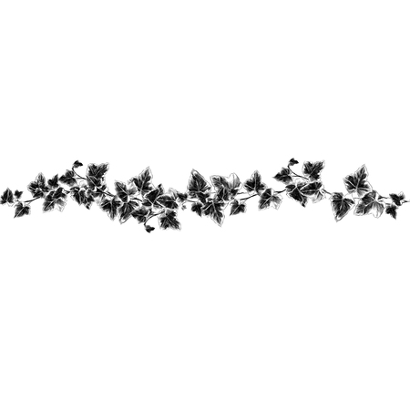 Strip of leaves sketch graphics of a black and white drawingのイラスト素材