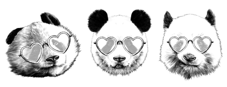 three heads are pandas different emotions with glasses lovers sketch vector graphics monochrome black-and-white drawingのイラスト素材