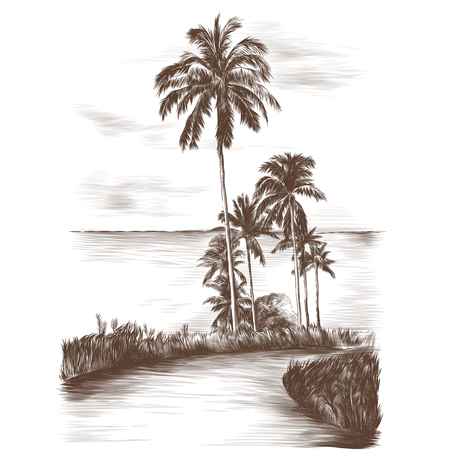 landscape road through the tropics with palm trees on the side of the sea background, sketch vector graphics monochromeのイラスト素材