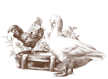 a cock stands on an old retro suitcase and a goose stands next in the background growing grass, sketch vector graphics monochrome illustration on white backgroundの写真素材