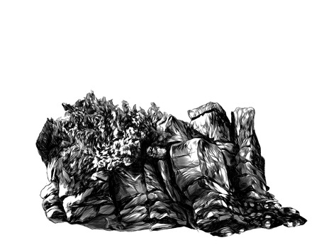 stone rock of boulders with Bush, trees and grass, sketch vector graphics monochrome illustration on white backgroundのイラスト素材