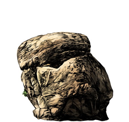 large stone cobblestone with vegetation and grass, sketch vector graphic color illustration on white backgroundのイラスト素材