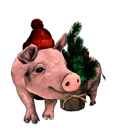 Christmas pig in a warm hat with a pompom stands near a small decorative Christmas tree, sketch vector graphic color illustration on white backgroundのイラスト素材