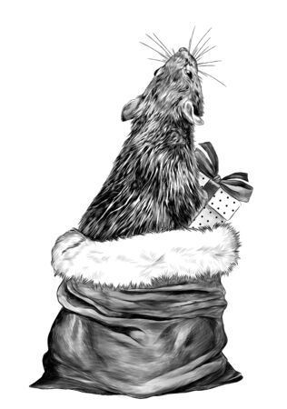 mouse with gift box in paws climbs out of Christmas bag and standing on his hind legs looking up with his back turned, sketch vector graphics monochrome illustration on white backgroundのイラスト素材