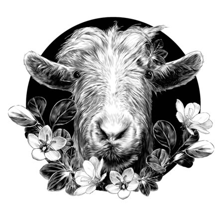 goat head full face on circle background and composition decorated with grass and flowers, sketch vector graphics monochrome illustration on white backgroundのイラスト素材