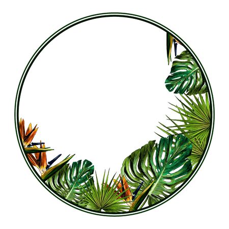 round frame decorated with tropical plants, sketch vector graphics color illustration on white backgroundのイラスト素材