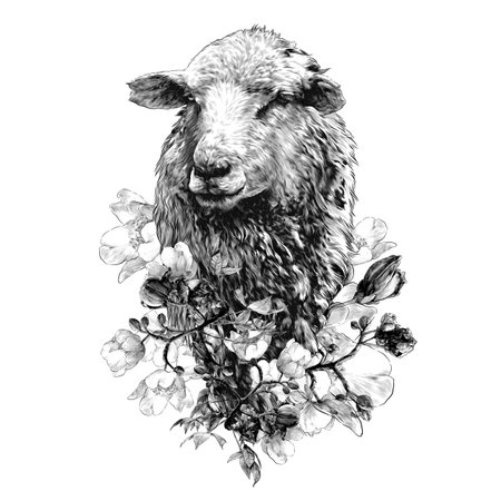Sheep head with thick fur on the chest decorated with tree branches with abundant large flowersの写真素材