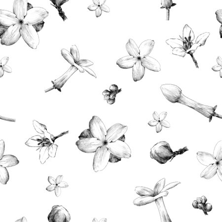 seamless pattern featuring jasmine flowers and tropical flowers, sketch vector graphics monochrome illustration on white backgroundの写真素材