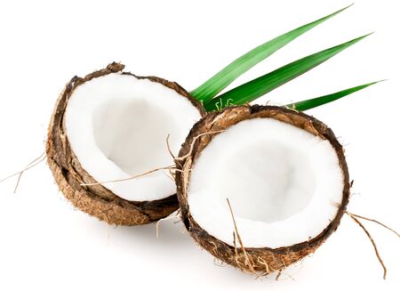 Coconut with leaves closeup isolated on white backgroundの写真素材