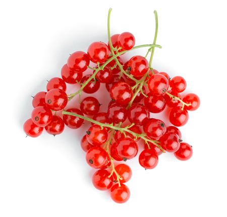 Red currants on white background 