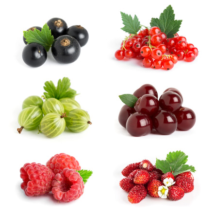 Sweet berries on white . Raspberry, blackcurrant, gooseberry, cherry, strawberry and redcurrant closeupの写真素材