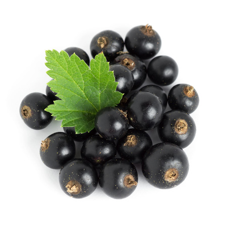 Black currants closeup on white の写真素材