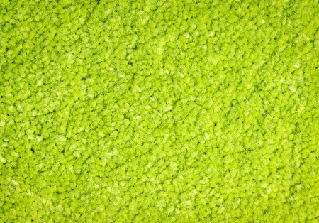 Green carpet textureの写真素材