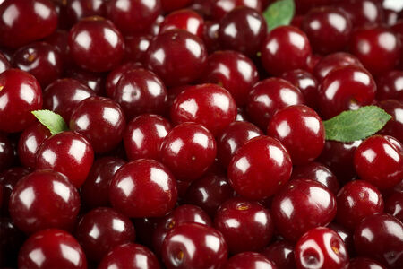 Sweet cherries background closeupの写真素材