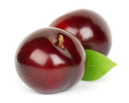 Fresh plums on white backgroundの写真素材