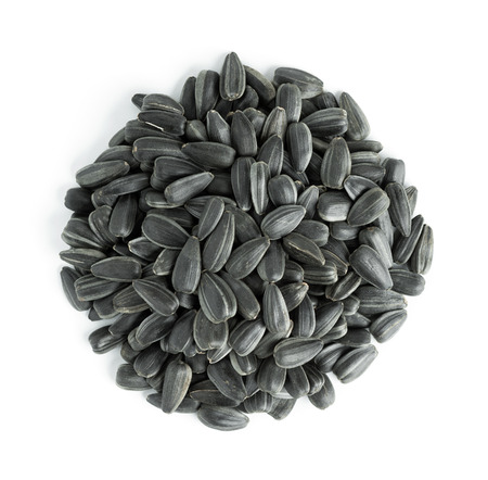 Sunflower seeds pile on white backgroundの写真素材