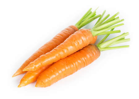 Fresh carrots on white backgroundの写真素材