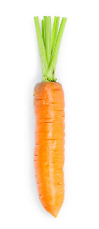 Fresh carrot on white backgroundの写真素材