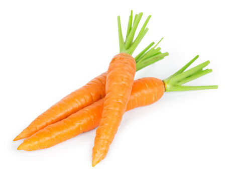 Fresh carrots on white backgroundの写真素材