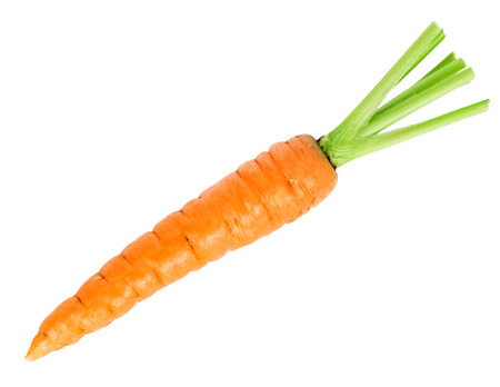 Fresh carrot on white backgroundの写真素材